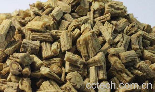 台参和党参的区别 台参的功效-1