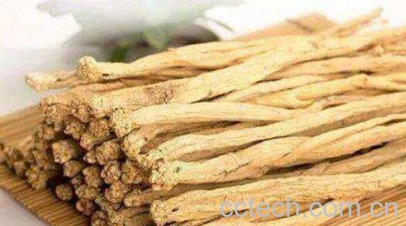 台参的功效与作用 台参是什么-1