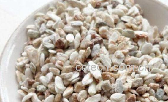 阴起石的功效与作用-1