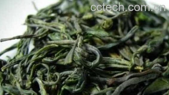 松萝泡水喝的功效与作用-0