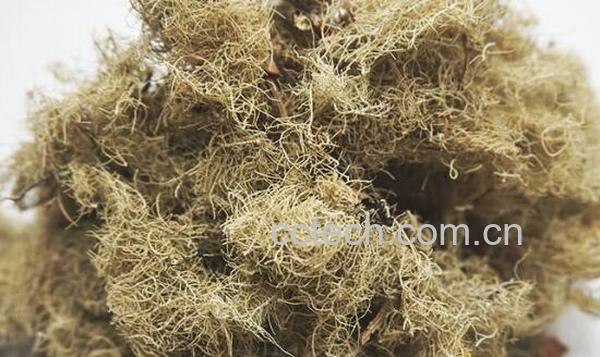 云雾草的功效与作用及副作用-0