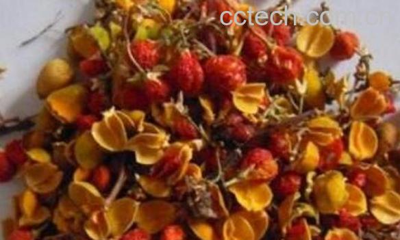 中药鸡Q花的功效与作用-1