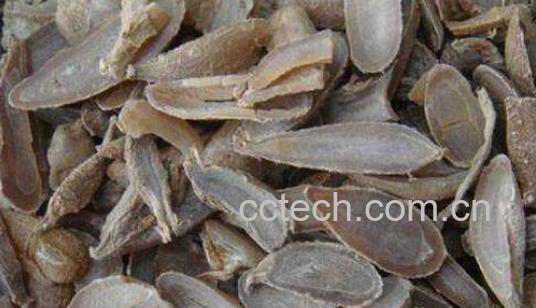 y金的功效与作用-1