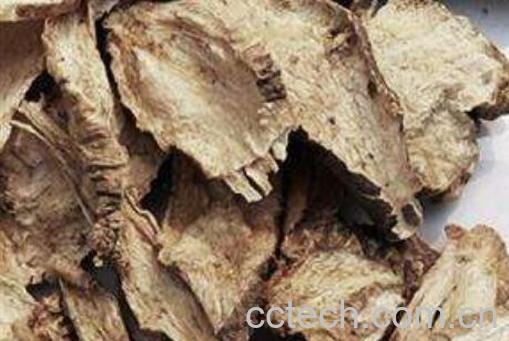 羊乳参的功效与作用 羊乳参的副作用与禁忌-0