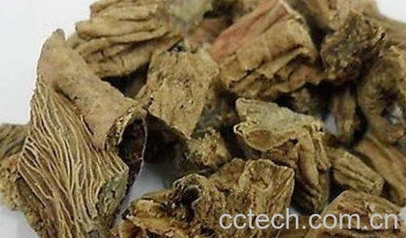 续断颗粒的功效与作用-0