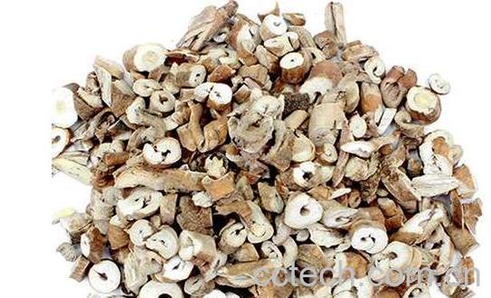 牡丹皮颗粒的功效与作用-1