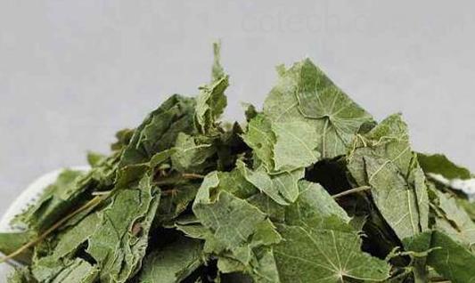 炙霪羊藿的功效与作用及禁忌-1