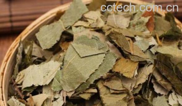 炙霪羊藿的功效与作用及禁忌-0