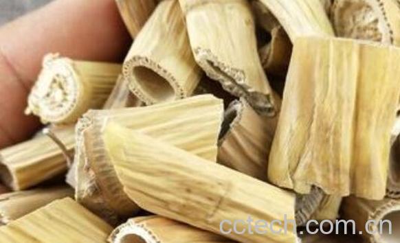 芦根的功效与作用及禁忌-0