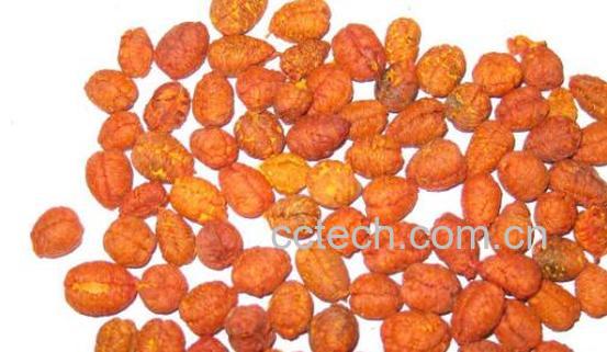 栀子仁的功效与作用-1