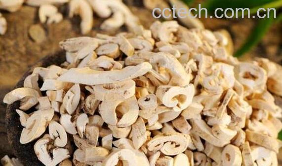 白鲜皮泡水喝的功效与作用-1