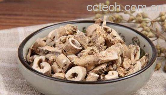 白鲜皮泡水喝的功效与作用-0