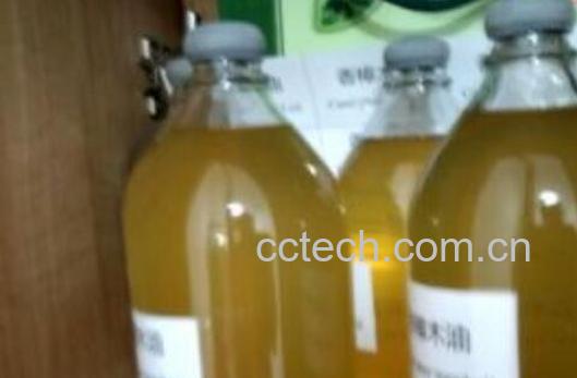 樟木油的作用与危害-1