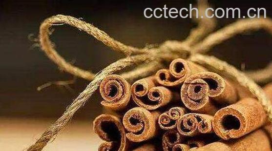 玉桂的功效与作用及药用价值-0