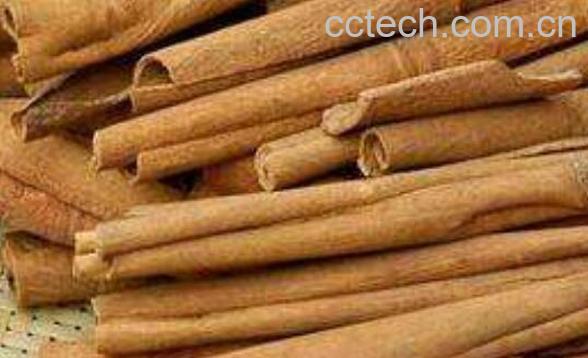 玉桂的功效与作用及药用价值-1