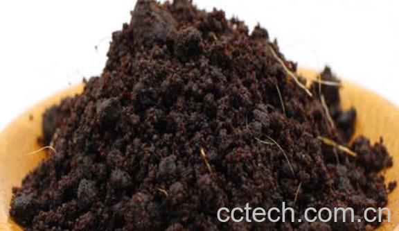 麝香仁的功效与作用及药用价值-0