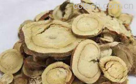 干甘草的功效与作用-1