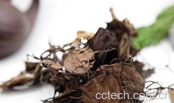 鹿蹄草的功效和作用 鹿蹄草的副作用-1