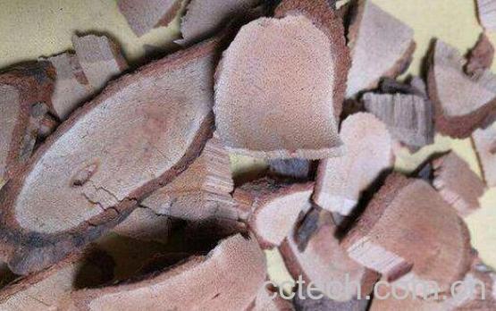 杨桃根泡酒功效与作用-0