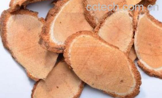 杨桃根泡酒功效与作用-1