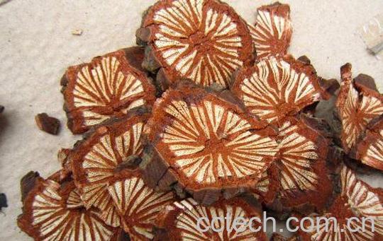 大血藤的功效与作用 大血藤的常见用法-0