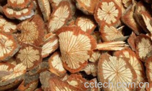 大血藤的功效与作用 大血藤的常见用法-1