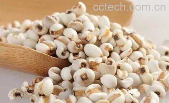 薏仁米的功效与作用 薏仁米的食用方法-0