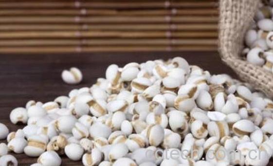 薏仁米的功效与作用 薏仁米的食用方法-1