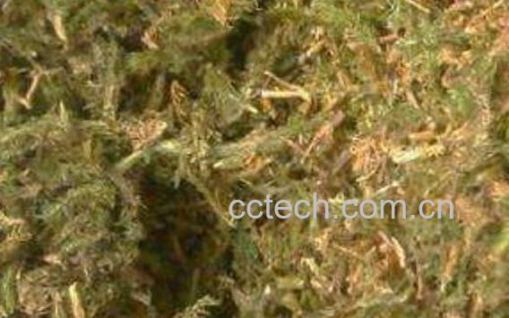 舒筋草的功效与作用 舒筋草的副作用-0