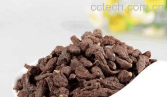 蕨麻的功效与作用禁忌-1