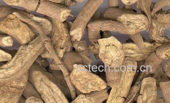 青木香的功效与作用及禁忌-1