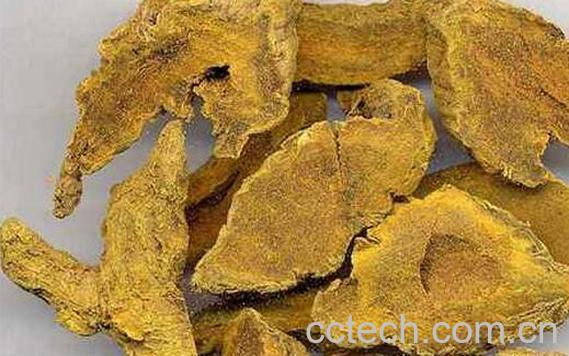 片姜黄与姜黄的区别 姜黄的功效与作用-0