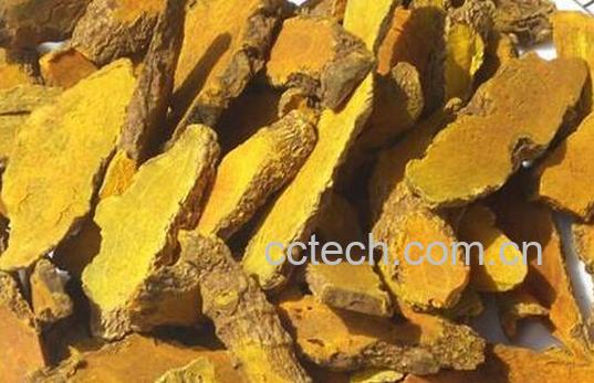 片姜黄的功效与作用及禁忌-0