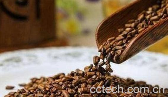 决明子泡水喝竟有6个害处 决明子泡水喝的好处-0