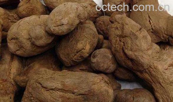 炮姜的功效与作用 炮姜的副作用与禁忌-1