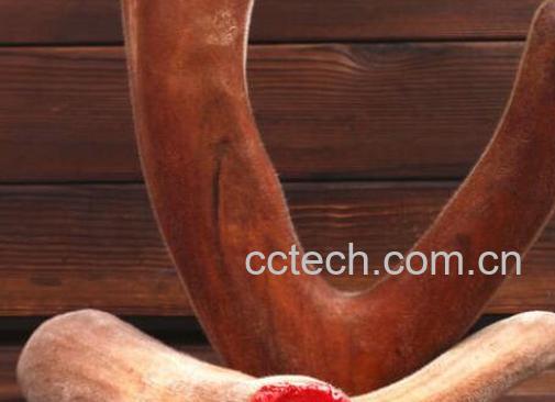 鲜鹿茸的功效与作用及禁忌-0