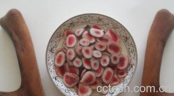 鲜鹿茸的功效与作用及禁忌-1