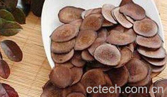 鹿茸片的功效与作用 吃鹿茸片的禁忌-0