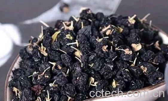 黑枸杞的功效与作用及食用禁忌-0