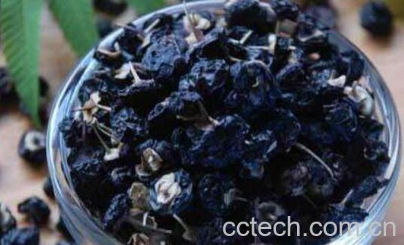 野生黑枸杞的功效与作用有哪些-0