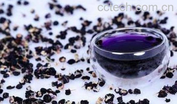 野生黑枸杞的功效与作用有哪些-1