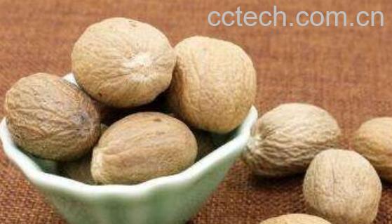 香豆蔻的功效与作用及药用价值-0