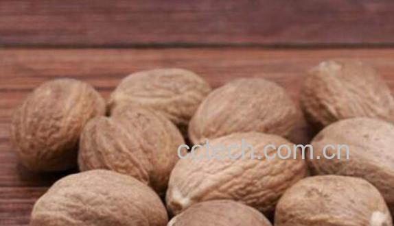 香豆蔻的功效与作用及药用价值-1