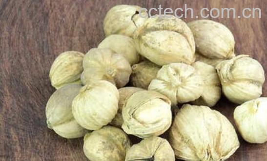 红豆蔻与白豆蔻的区别 红豆蔻的功效-0