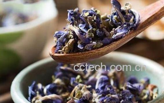 葛根花怎么泡水喝 葛根花可以泡水喝吗-1