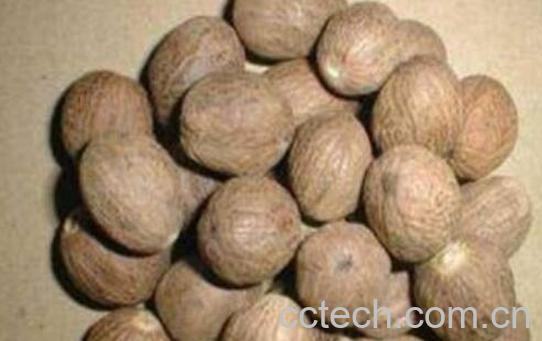 红豆蔻与白豆蔻的区别 红豆蔻的功效-1