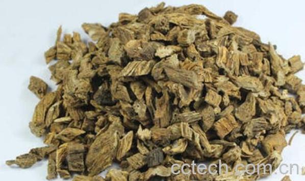 生百部与炙百部的区别 百部的功效与作用-0