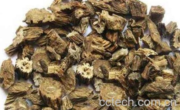 生百部与炙百部的区别 百部的功效与作用-1