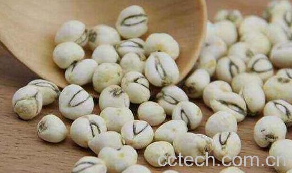 川贝母的功效与作用 吃川贝母的好处-0