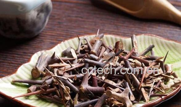 皂角刺的功效与作用及副作用-1